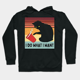 I Do What I Want Funny Cat Hoodie